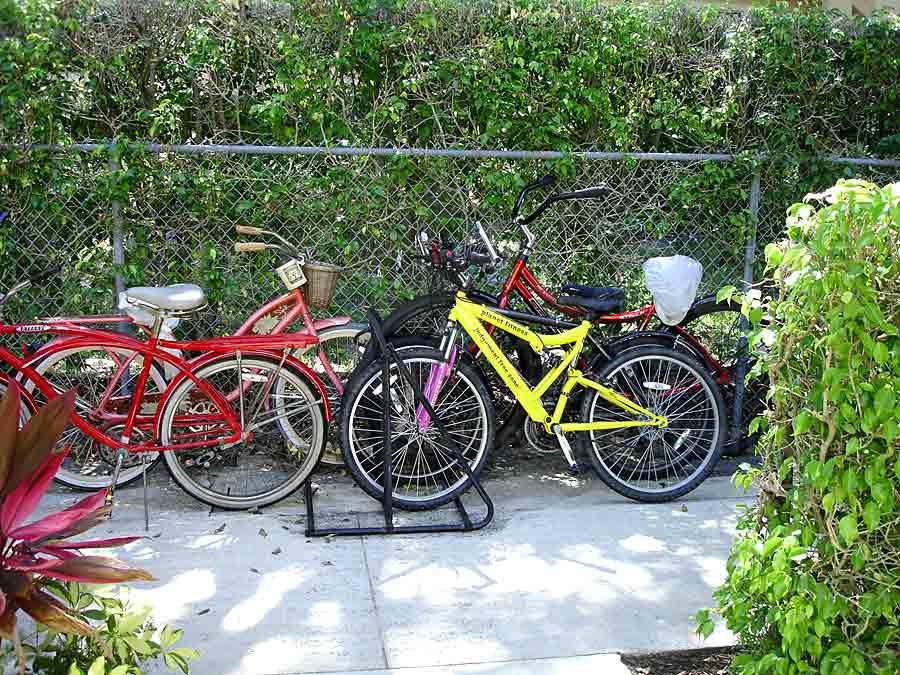 Twin Palms Bike Rack